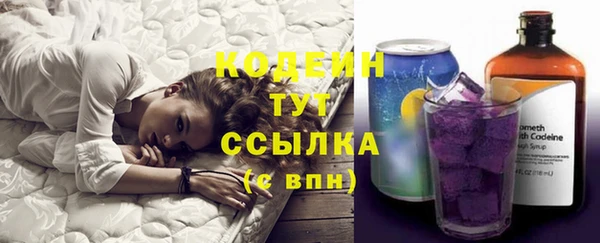 прущий лед Арсеньев