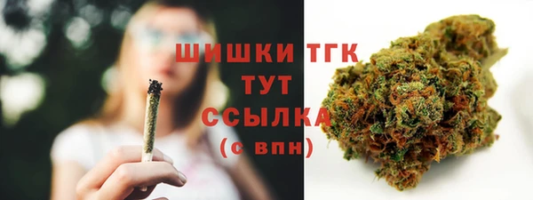 прущий лед Арсеньев