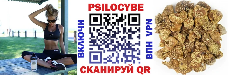 Галлюциногенные грибы Psilocybe  Павловский Посад 